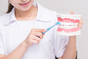 歯の掃除指導
